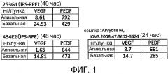 Способ получения клеточного пласта из клеток пигментного эпителия сетчатки (патент 2628697)
