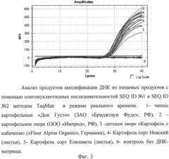 Высокоспецифичный днк-маркер, используемый в качестве эндогенного референсного контроля для обнаружения геномной днк картофеля в растительном материале и пищевых продуктах, в том числе при идентификации гмо (патент 2539756)