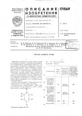 Способ защиты резин (патент 171569)