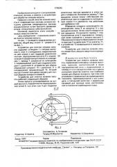 Устройство для очистки кочанов капусты (патент 1738242)