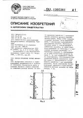 Способ крепления горных выработок (патент 1305361)