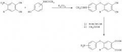 Способ получения аминофеноксифталевых кислот (патент 2259352)