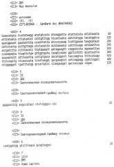 Новый цитокин zalpha11-лиганд (патент 2258710)