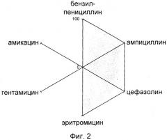 Способ выявления госпитальных штаммов (патент 2245922)