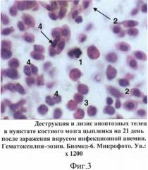 Способ прижизненной диагностики латентного течения инфекционной анемии цыплят (патент 2527696)