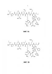 2-амино-3-метил-гекс-5-еновая кислота и ее применение в производстве пептидов, таких как бацитрацины (патент 2611006)