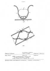 Устройство для транспортировки плодов при их наклонной подаче (патент 1230525)