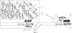 Способ заготовки и вывозки дров и лесосечных отходов от лесных участков к котельным (патент 2554442)