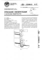 Гидравлический исполнительный орган (патент 1234613)