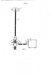 Эндоскоп (патент 1097263)