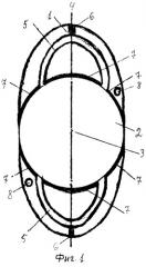 Аккомодирующий искусственный хрусталик глаза (патент 2508074)