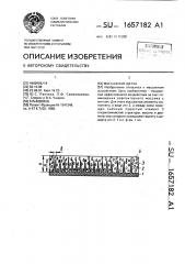 Массажная щетка (патент 1657182)