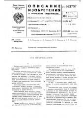 Методическая печь (патент 663737)