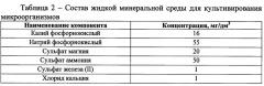 Способ очистки сточных вод нефтеперерабатывающих и нефтехимических производств от бензола (патент 2663798)