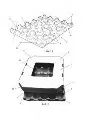 Упаковка для яиц (варианты) (патент 2653477)