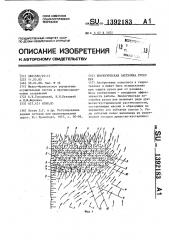 Биологическая застройка русел рек (патент 1392183)