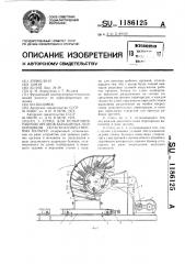 Стенд для испытания рабочих органов барабанных подборщиков сельскохозяйственных культур (патент 1186125)