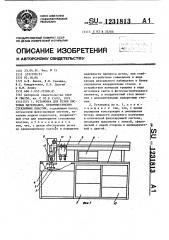 Установка для резки листовых материалов, преимущественно стеклянных пластин (патент 1231813)