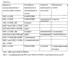 Рекомбинантная клетка для производства фенольного соединения и способ производства фенольного соединения (патент 2628097)