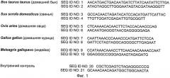 Набор олигонуклеотидных праймеров для идентификации днк животных в кормах и мясных продуктах (патент 2560579)
