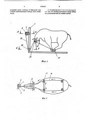 Устройство для фиксации животного (патент 1754091)