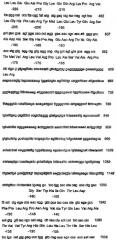Нуклеотидные и аминокислотные последовательности факторов яйцеклеток для изменения роста яичниковых фолликулов in vivo или in vitro (патент 2270862)