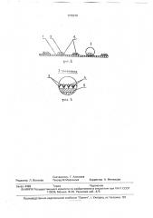 Покрытие рабочих органов очистительной машины для плодоовощных культур (патент 1779319)