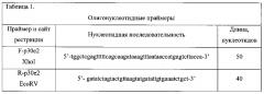 Экспрессирующий плазмидный вектор pet32b(+)asfv/p30e2 для синтеза рекомбинантного белка, состоящего из фрагмента p30 вируса африканской чумы свиней, тиоредоксина и полигистидиновых участков (патент 2603056)