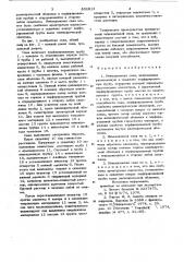 Инъекционная свая (патент 806813)