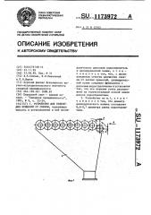 Устройство для отделения примесей от свеклы (патент 1173972)