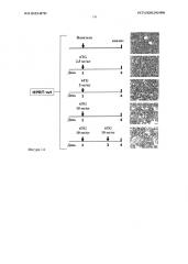 Способ совместного кондиционирования и хемоселекции за один цикл (патент 2611396)