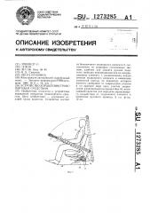 Устройство управления транспортным средством (патент 1273285)