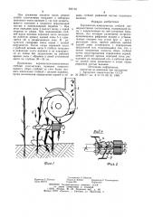 Корчеватель-измельчитель стеблей (патент 952152)