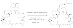 Региоспецифический синтез производных 42-эфира рапамицина (патент 2387657)