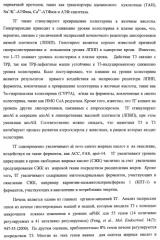 Новые фосфорсодержащие тиромиметики (патент 2422450)