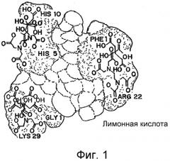 Лекарственные формы инсулина, обладающие быстрым усвоением (патент 2506945)