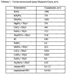 Способ получения каллусной культуры болиголова пятнистого (conium maculatum l) (патент 2590586)