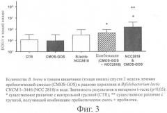 Синбиотическая смесь (патент 2448720)