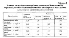 Способ повышения содержания алкалоида лаппаконитина в заготовленных корневищах aconitum septentrionale koelle (патент 2580042)