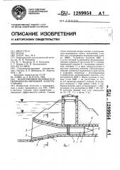 Водоприемник-водовыпуск гидроаккумулирующей электростанции (патент 1289954)