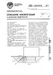 Основание гидротехнического сооружения (патент 1307019)