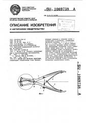 Шипцы для мечения животных (патент 1069738)