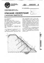 Плотина из грунтовых материалов (патент 1043242)