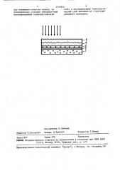 Рельефографический носитель информации (патент 1559325)