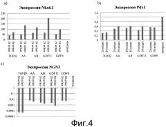 Дифференцировка эмбриональных стволовых клеток человека (патент 2540021)