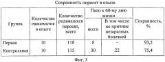 Способ повышения сохранности поросят (патент 2555566)