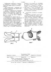 Устройство для подачи овец на зооветобработку (патент 1223864)