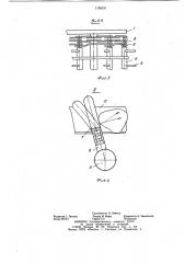 Устройство для переборки корнеплодов (патент 1126231)