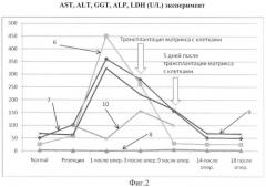 Способ и трансплантат для лечения печеночной недостаточности (патент 2425648)