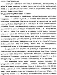 Биоадгезив мидии (патент 2349599)